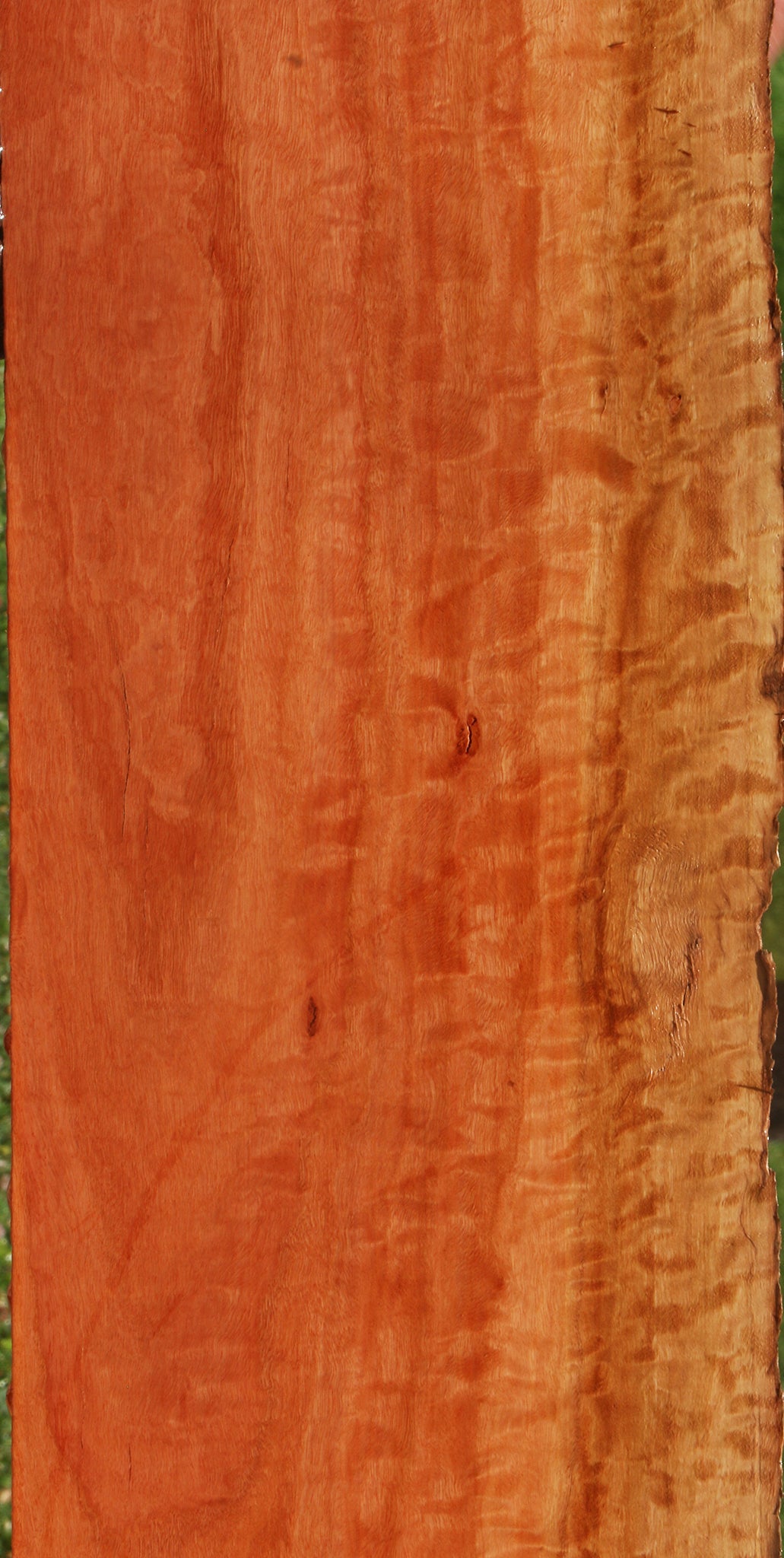 Extra Fancy Rustic Red Ironbark Live Edge Lumber