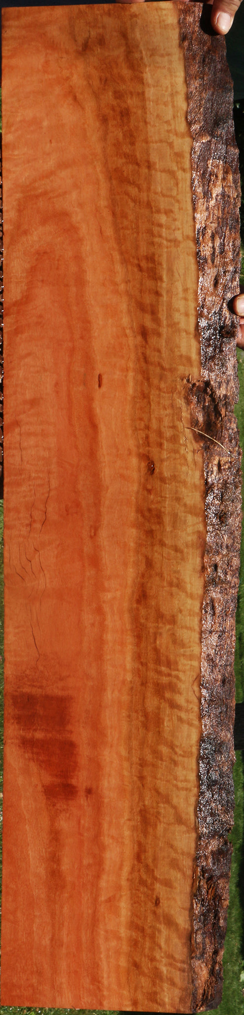 Extra Fancy Rustic Red Ironbark Live Edge Lumber