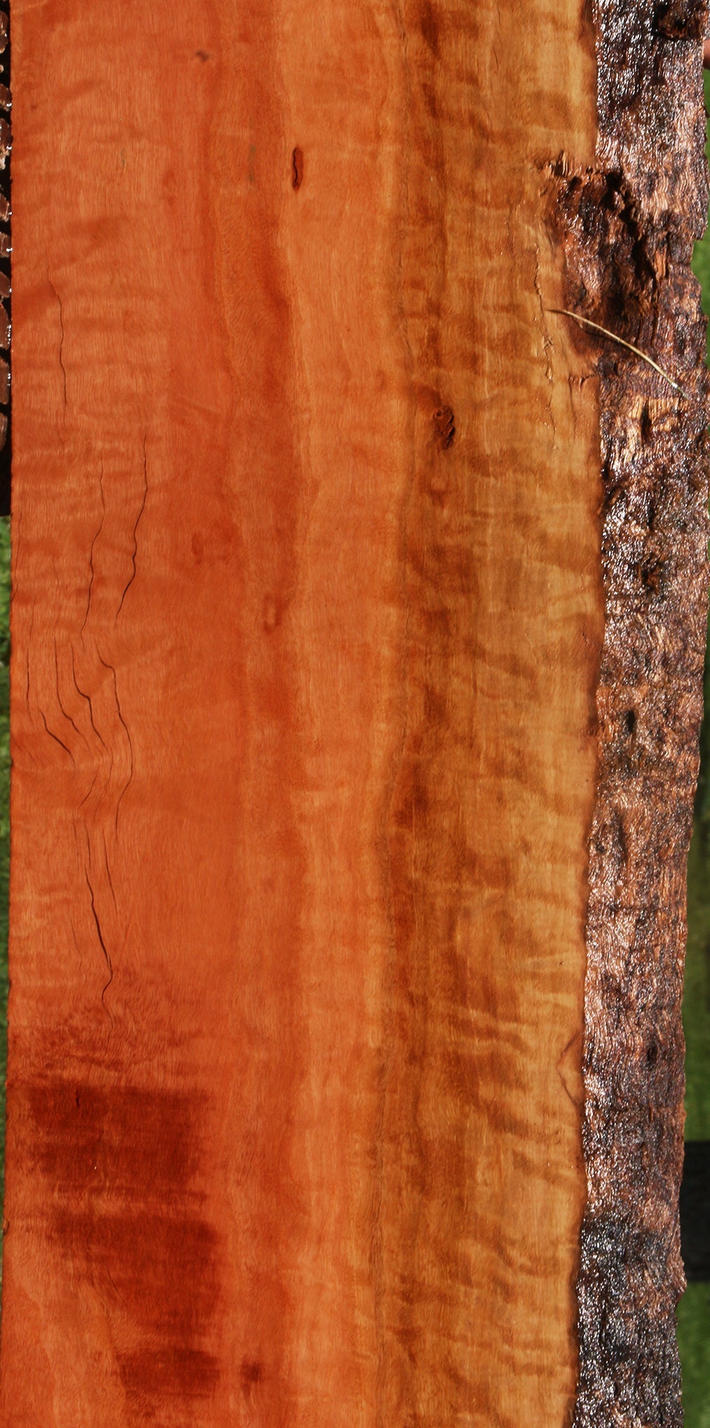 Extra Fancy Rustic Red Ironbark Live Edge Lumber