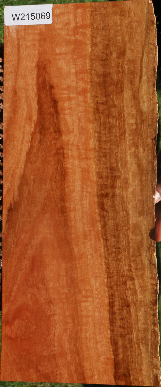 Extra Fancy Red Ironbark Live Edge Lumber