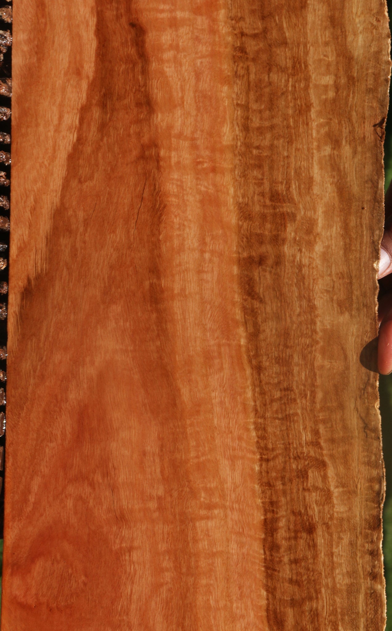 Extra Fancy Red Ironbark Live Edge Lumber