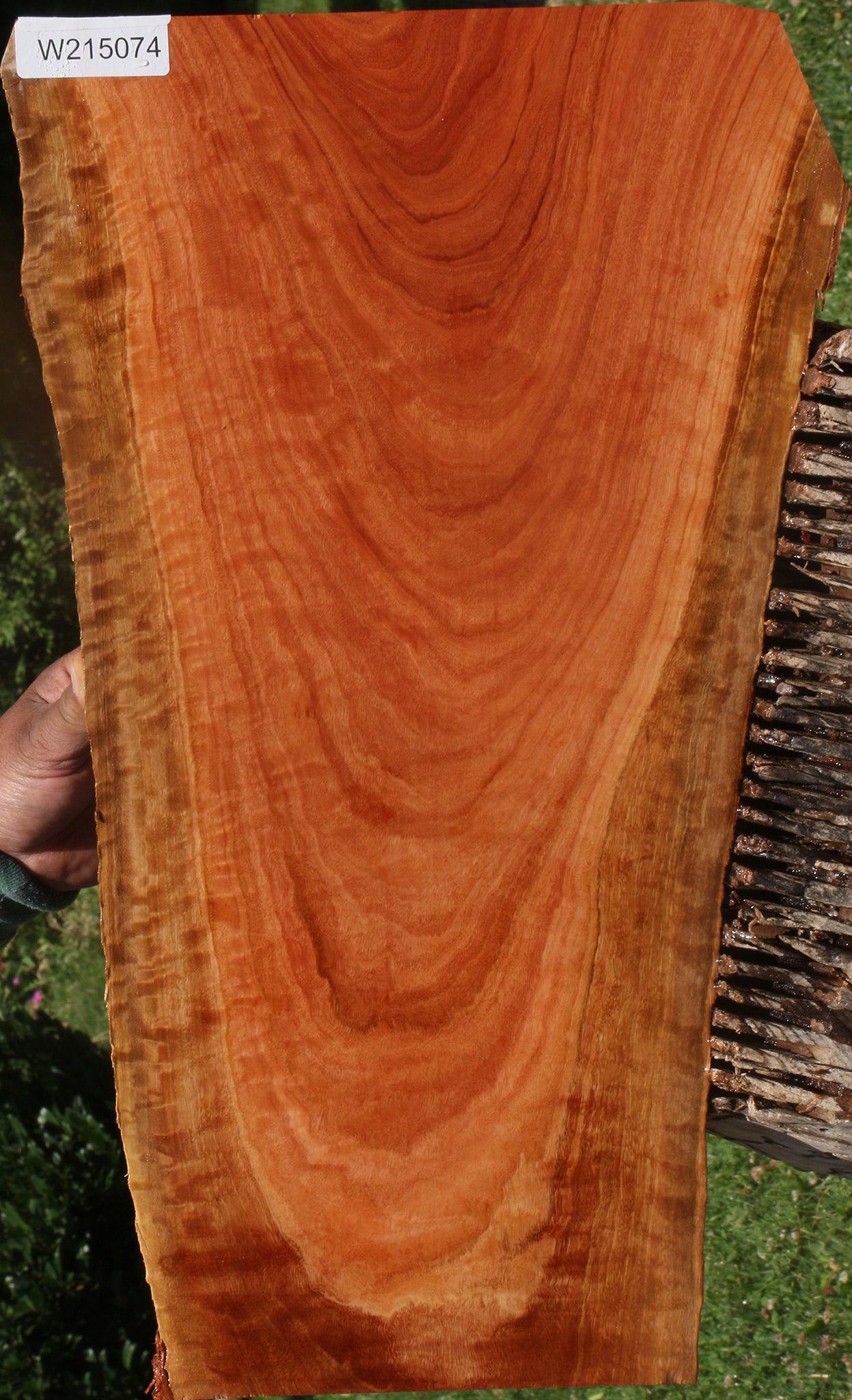 Extra Fancy Red Ironbark Live Edge Lumber