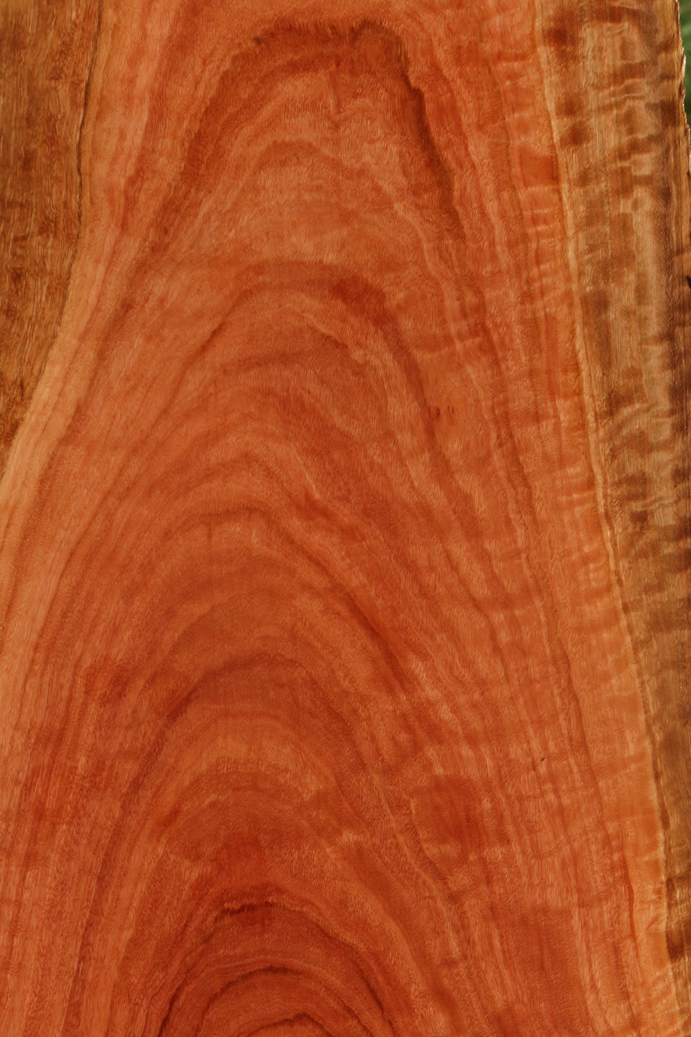 Extra Fancy Red Ironbark Live Edge Lumber