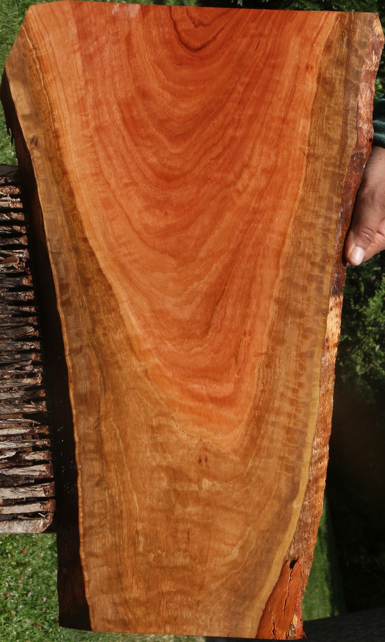 Extra Fancy Red Ironbark Live Edge Lumber