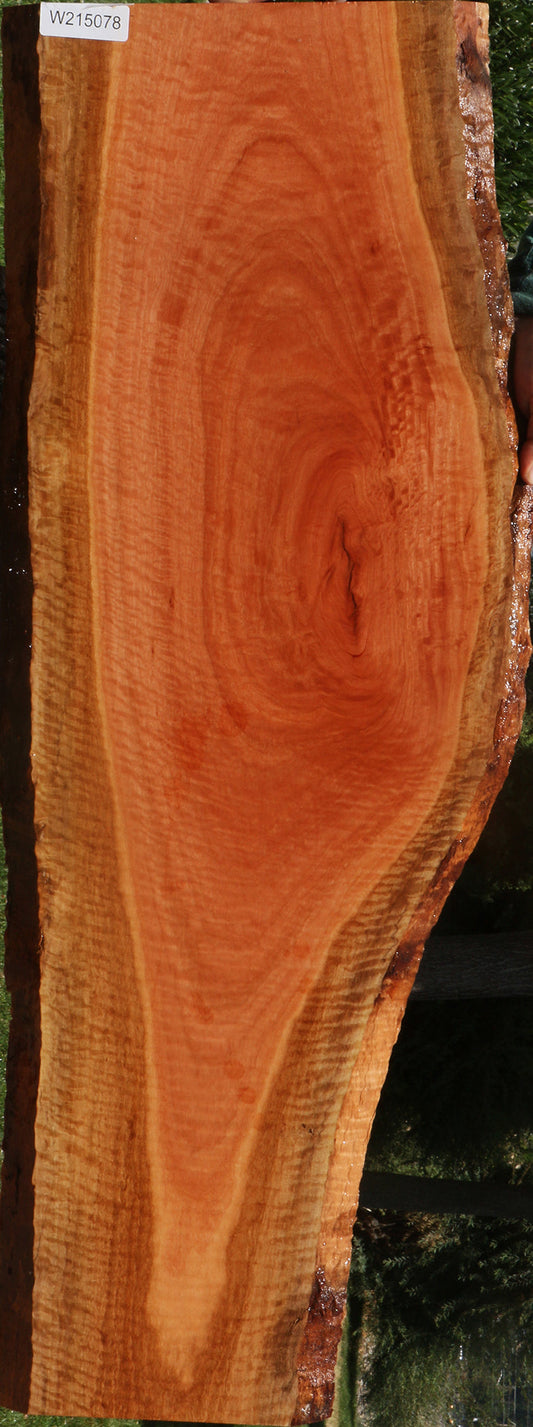 Extra Fancy Red Ironbark Live Edge Lumber