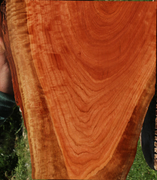 Extra Fancy Red Ironbark Live Edge Lumber