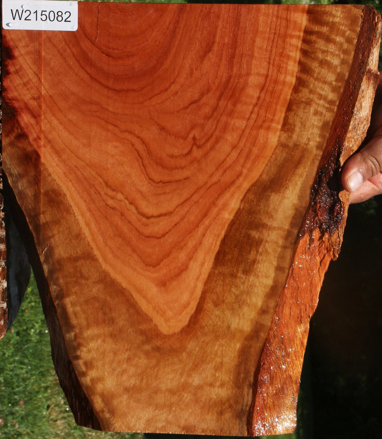 Extra Fancy Red Ironbark Live Edge Lumber