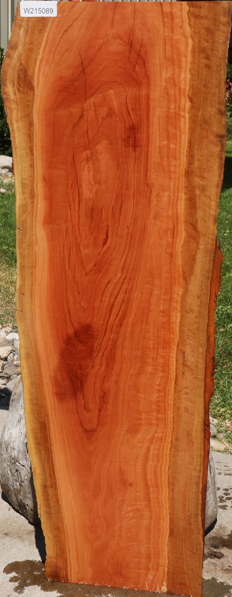 Extra Fancy Red Ironbark Live Edge Lumber