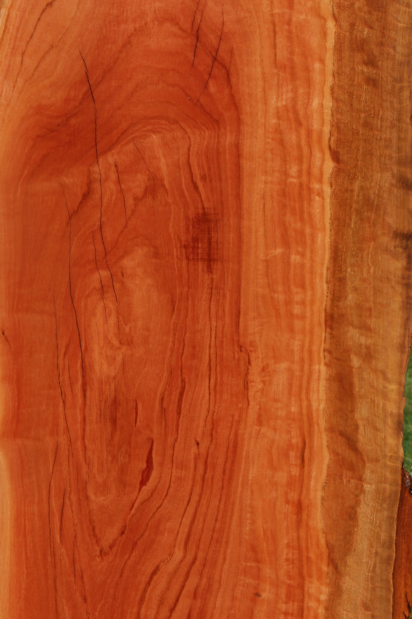 Extra Fancy Red Ironbark Live Edge Lumber