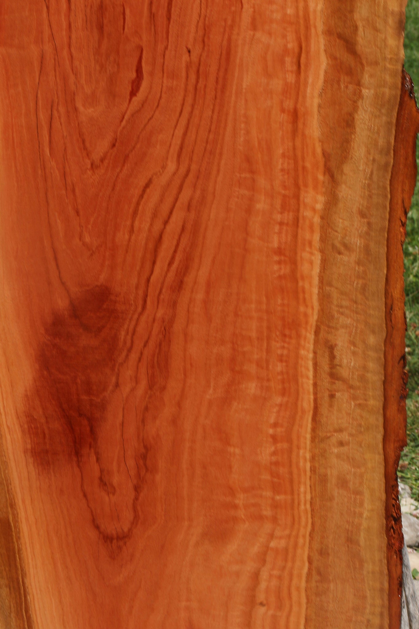 Extra Fancy Red Ironbark Live Edge Lumber