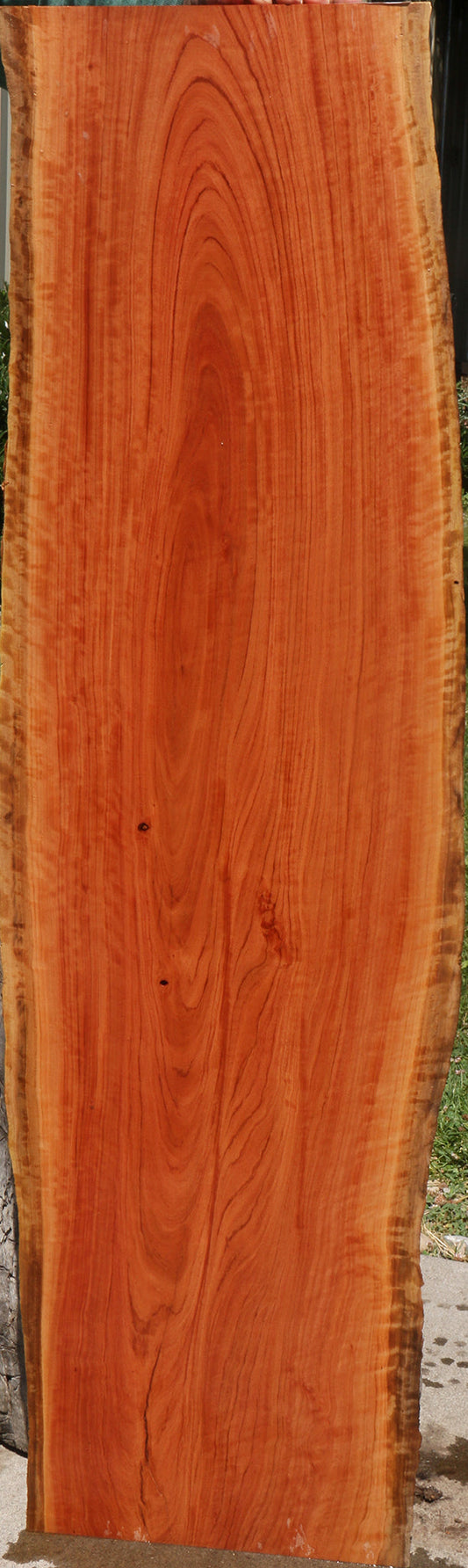 Extra Fancy Red Ironbark Live Edge Lumber