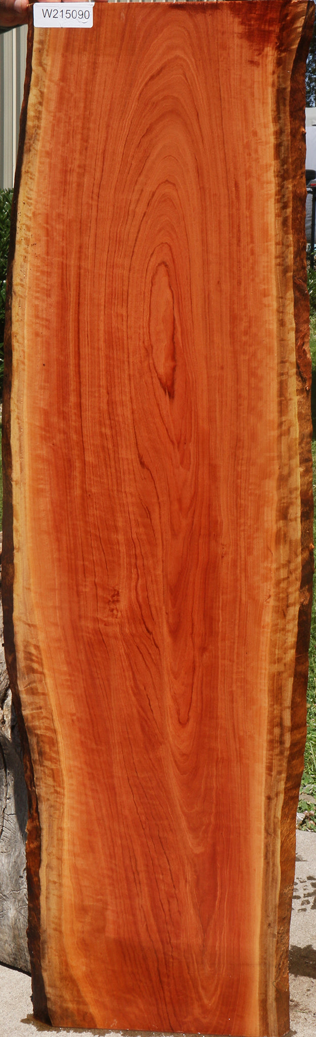 Extra Fancy Red Ironbark Live Edge Lumber