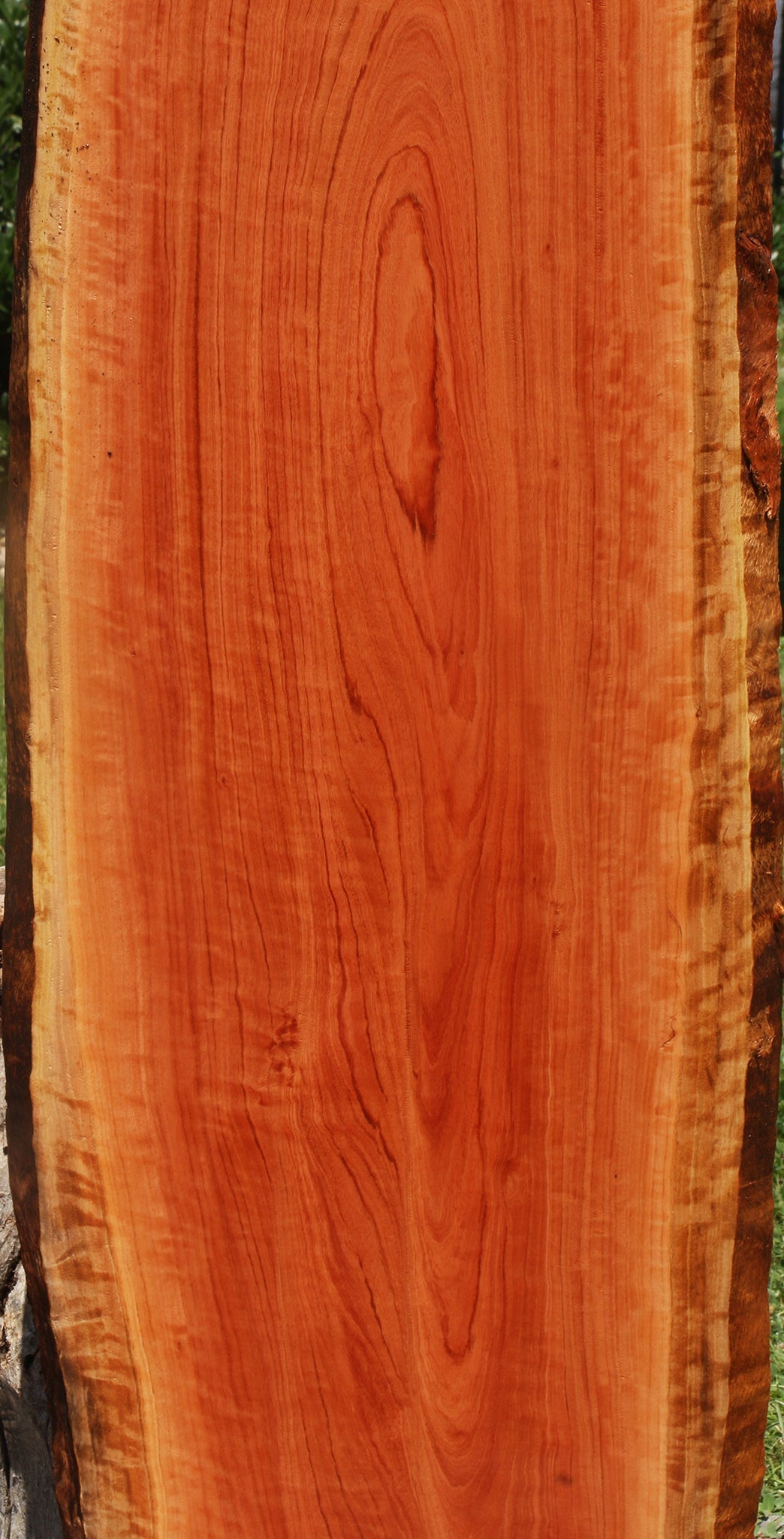 Extra Fancy Red Ironbark Live Edge Lumber