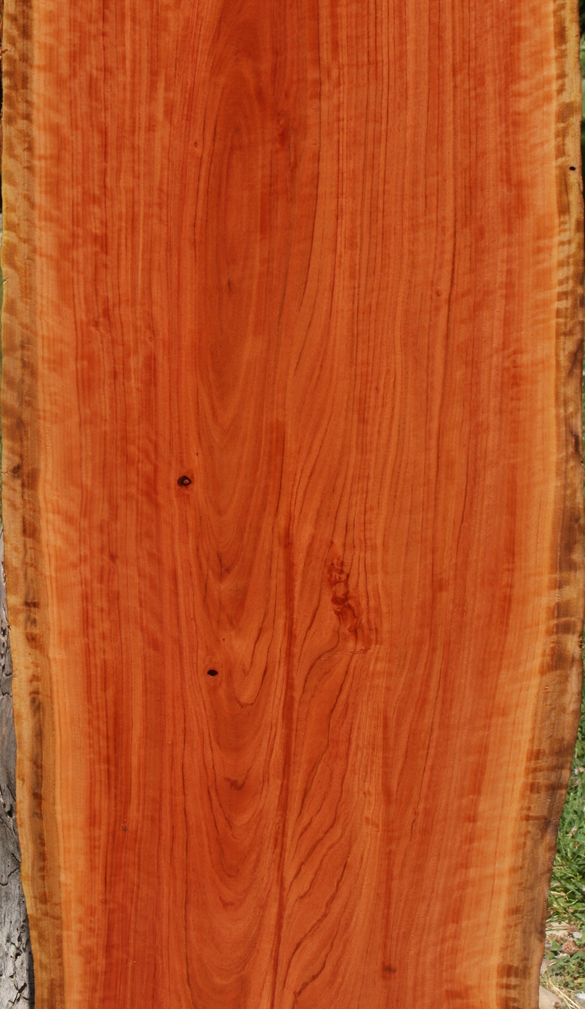 Extra Fancy Red Ironbark Live Edge Lumber