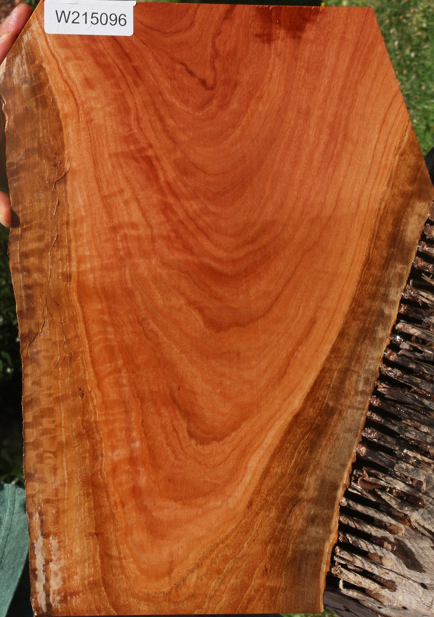 Extra Fancy Red Ironbark Live Edge Lumber