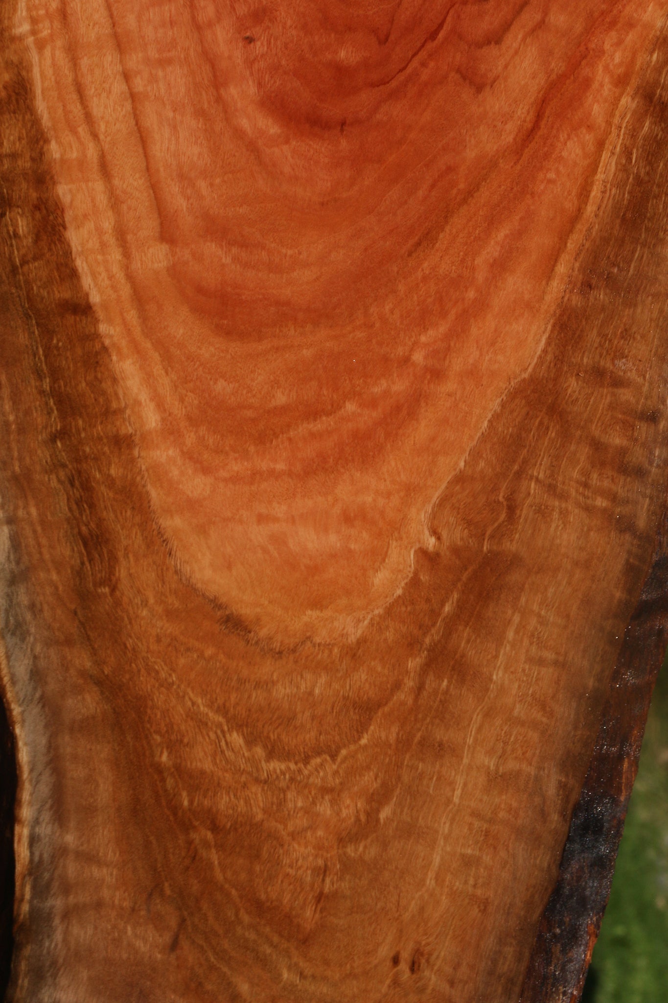 Extra Fancy Red Ironbark Live Edge Lumber