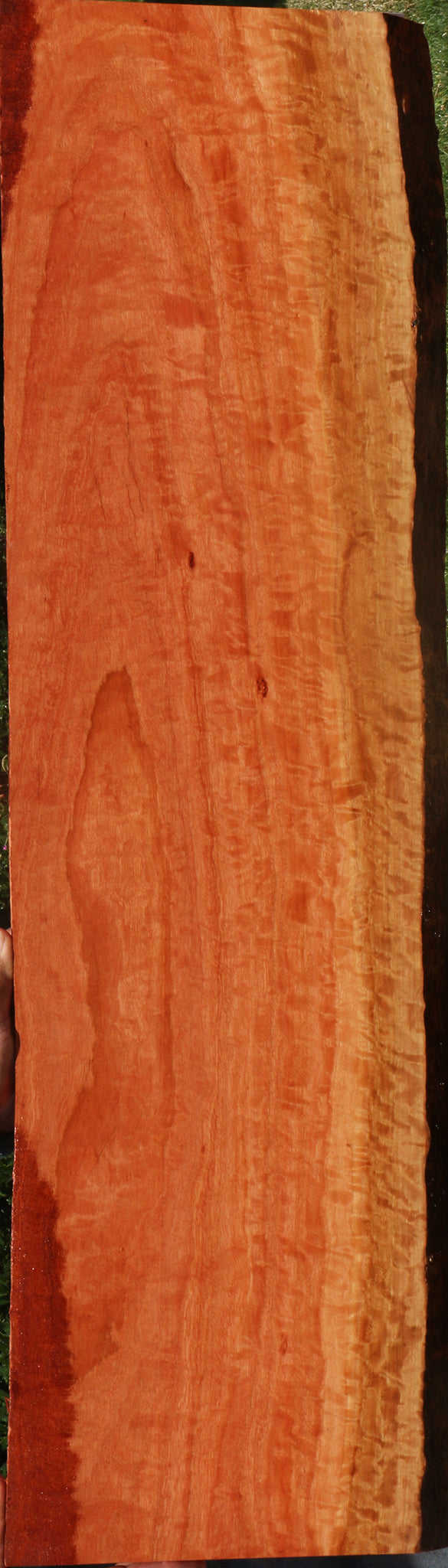 Extra Fancy Red Ironbark Live Edge Lumber