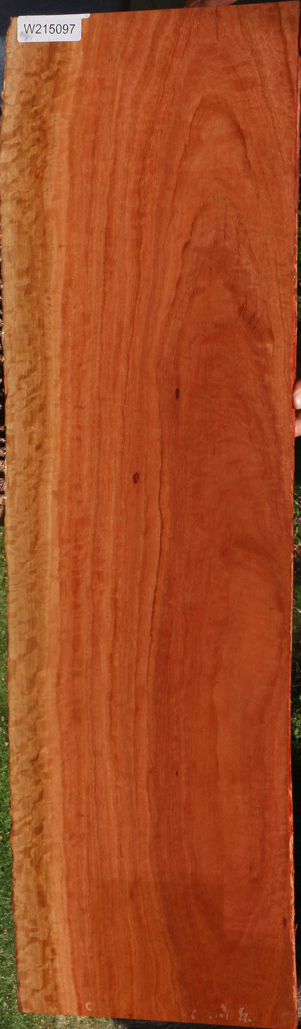 Extra Fancy Red Ironbark Live Edge Lumber