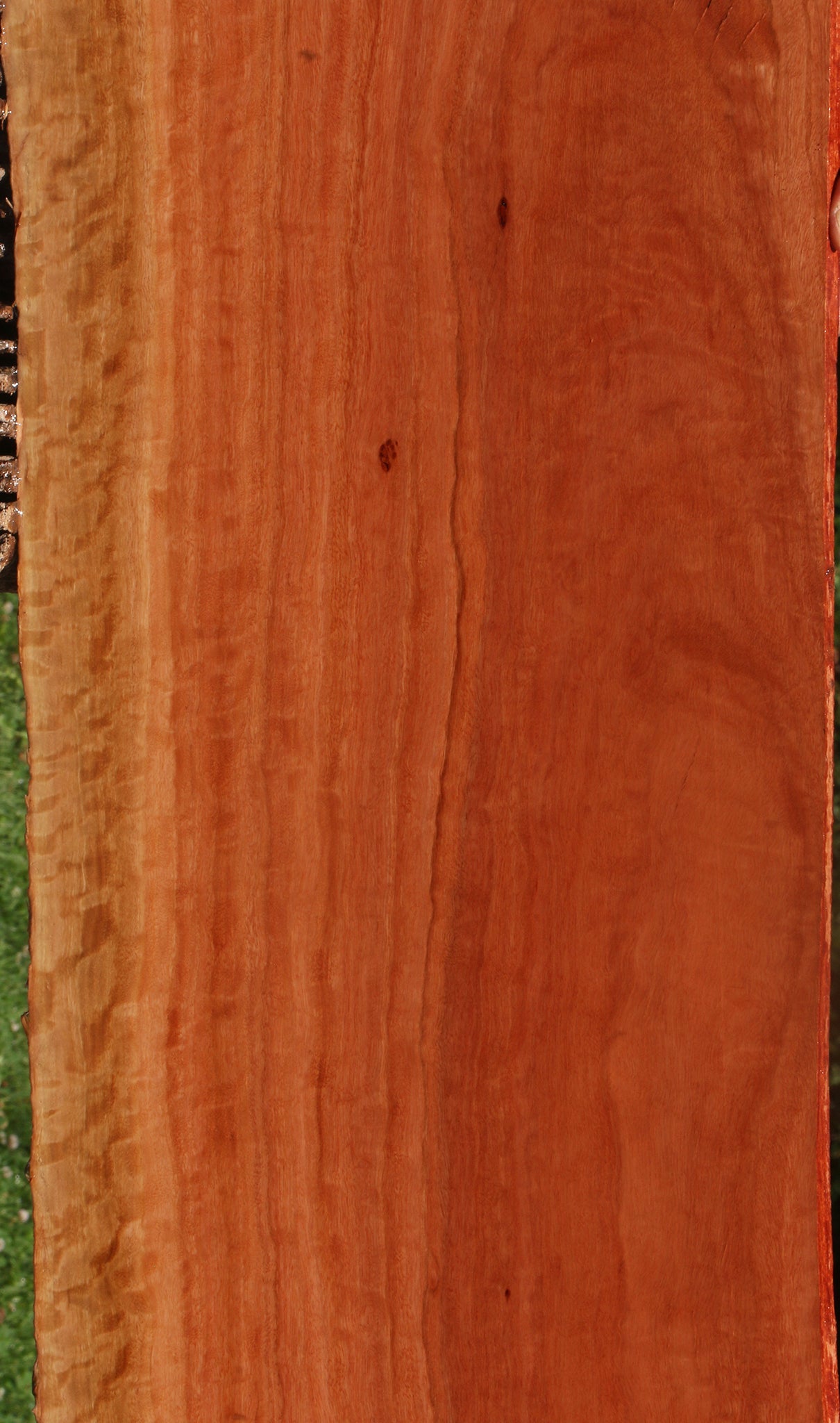 Extra Fancy Red Ironbark Live Edge Lumber