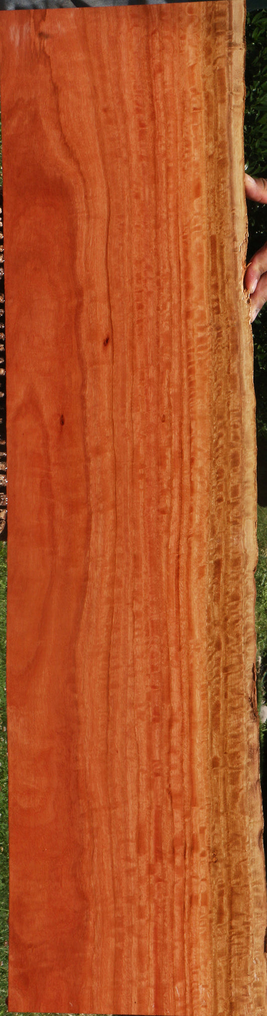 Extra Fancy Red Ironbark Live Edge Lumber