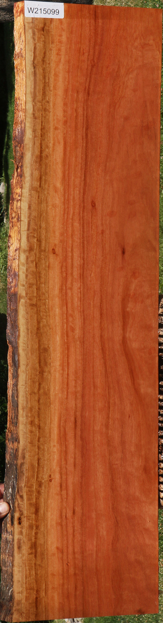 Extra Fancy Red Ironbark Live Edge Lumber