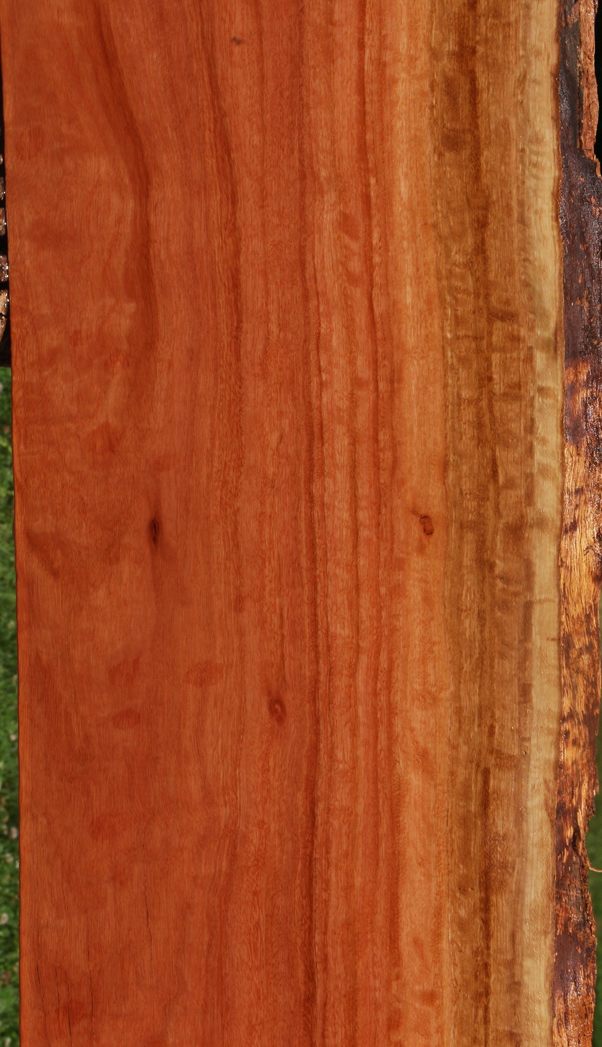 Extra Fancy Red Ironbark Live Edge Lumber