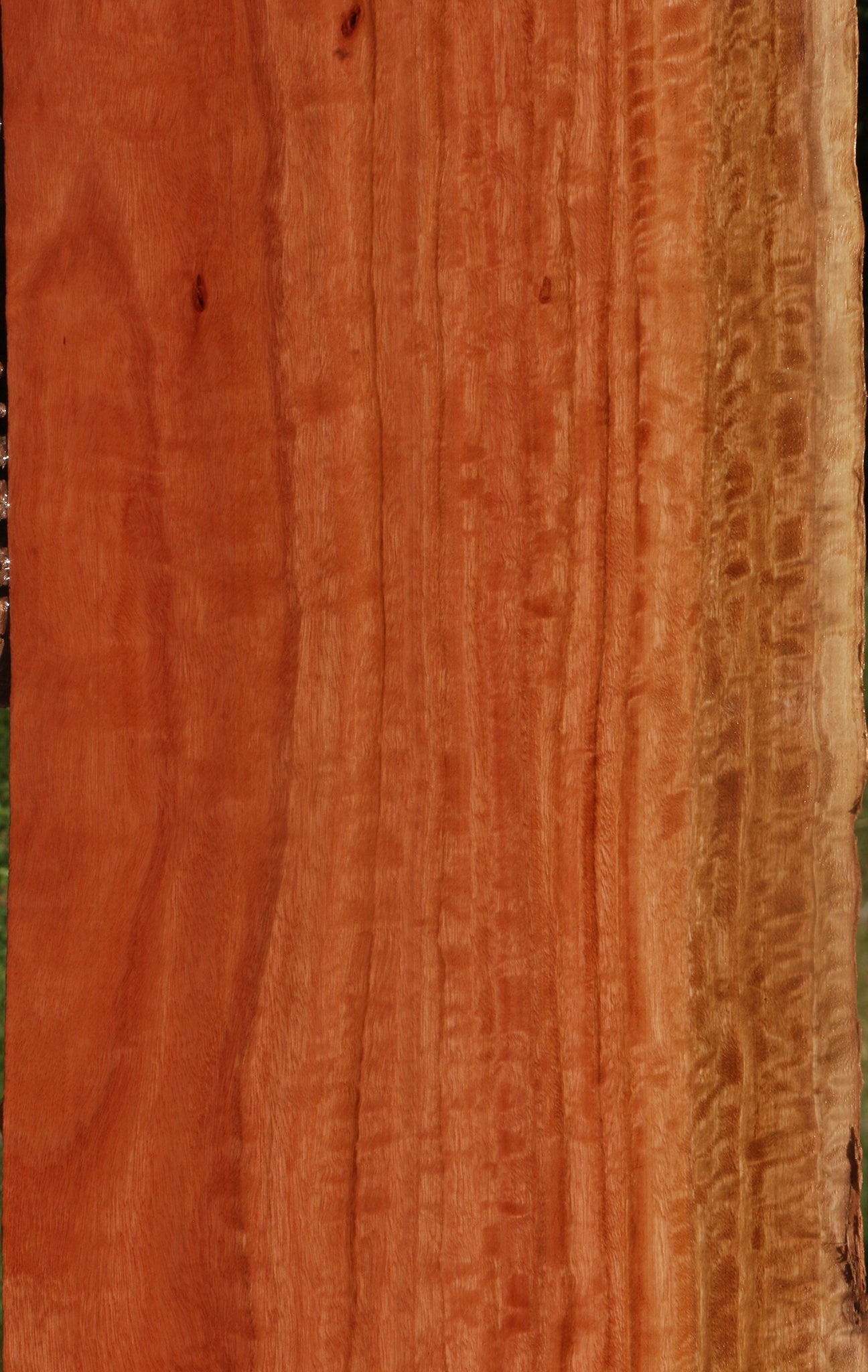 Extra Fancy Red Ironbark Live Edge Lumber