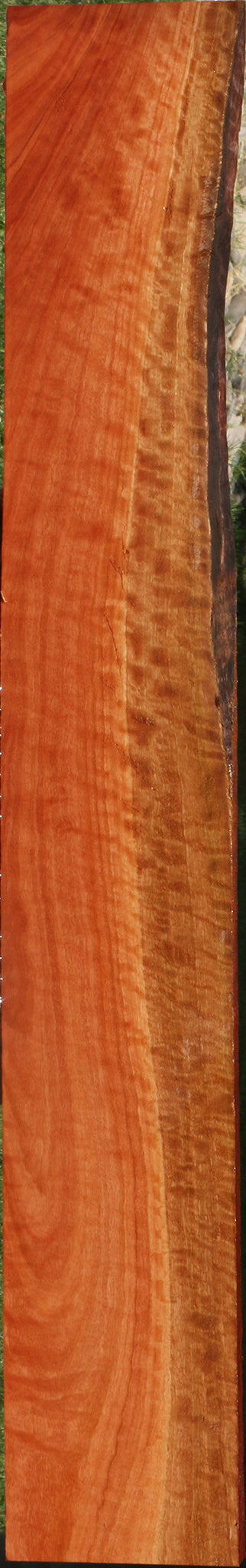 Extra Fancy Red Ironbark Lumber