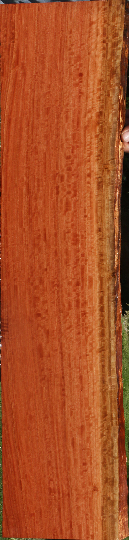 Extra Fancy Red Ironbark Live Edge Lumber