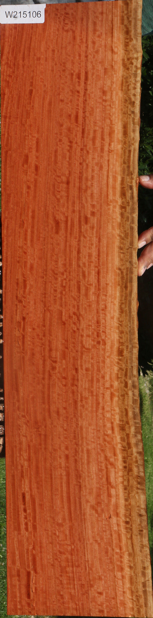 Extra Fancy Red Ironbark Live Edge Lumber