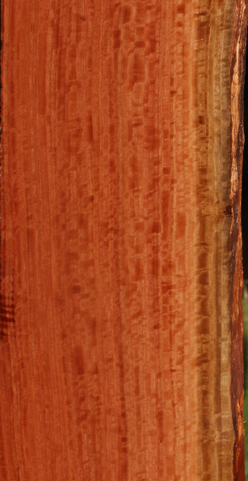 Extra Fancy Red Ironbark Live Edge Lumber