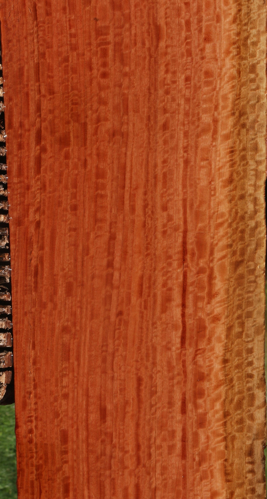 Extra Fancy Red Ironbark Lumber