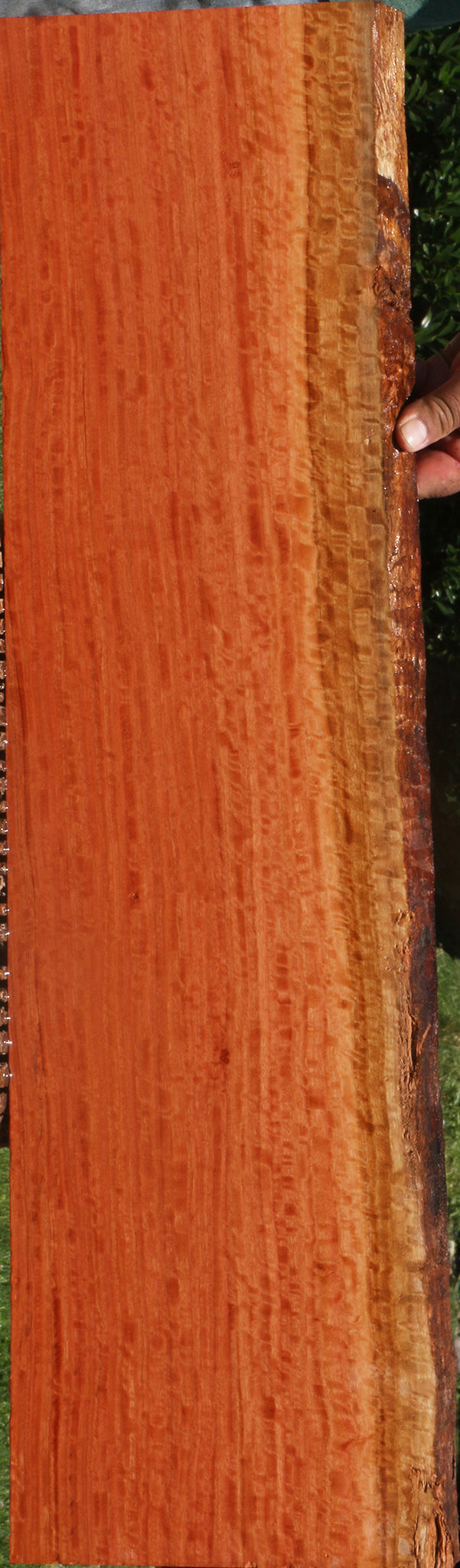 Extra Fancy Red Ironbark Lumber