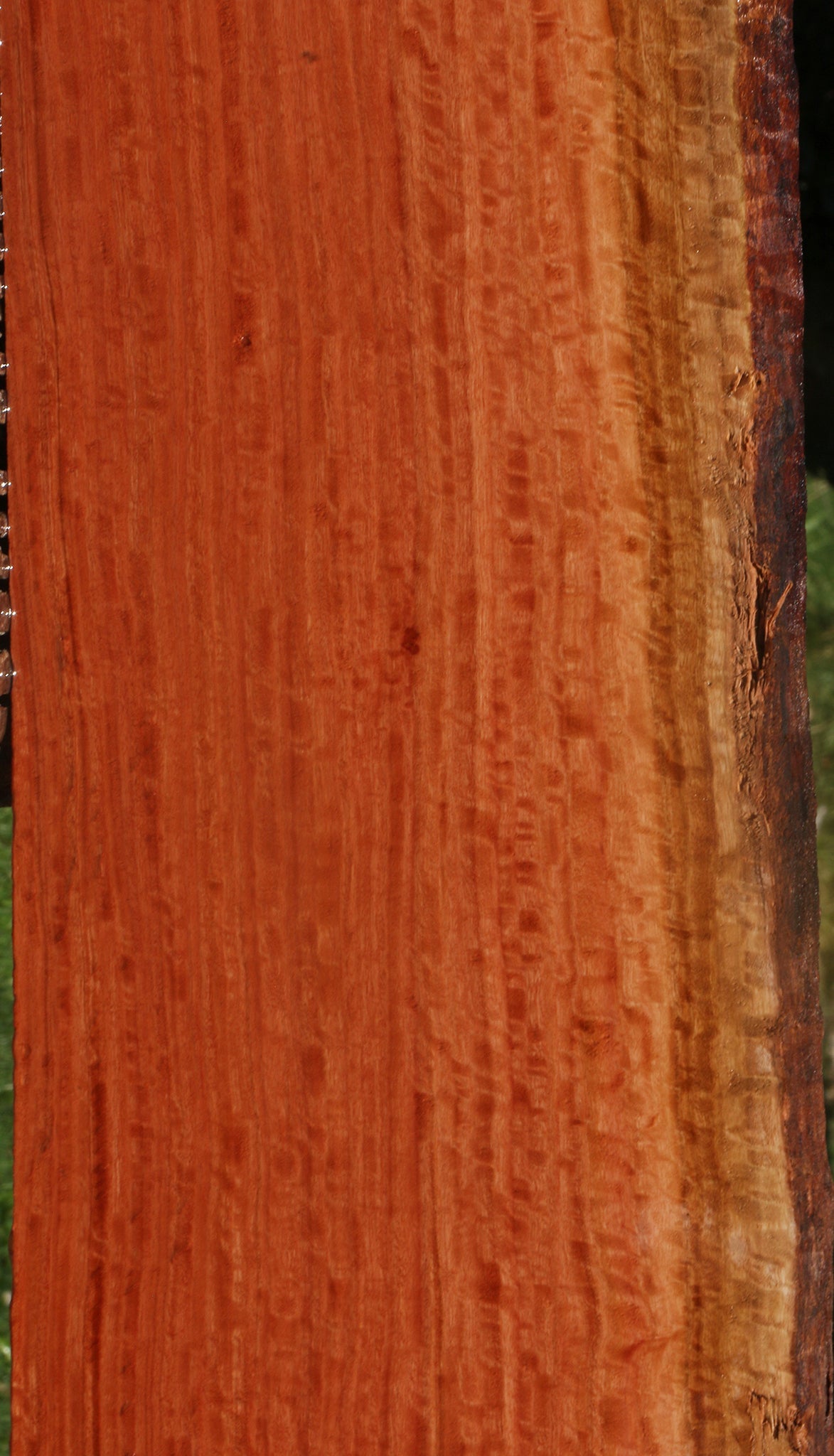 Extra Fancy Red Ironbark Lumber