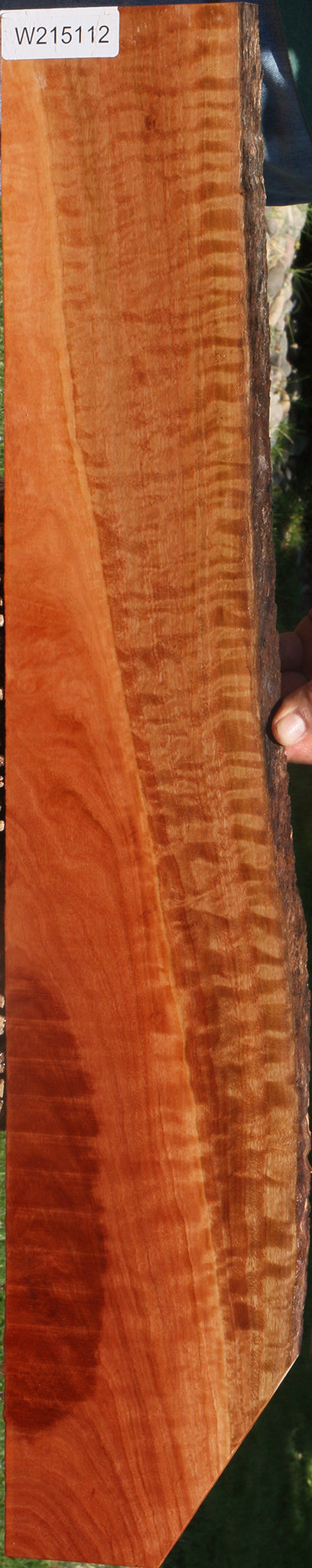 Extra Fancy Red Ironbark Live Edge Micro Lumber