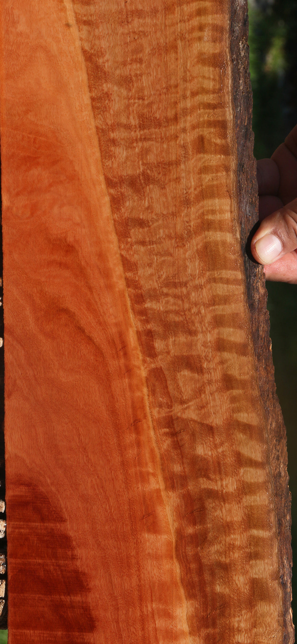 Extra Fancy Red Ironbark Live Edge Micro Lumber