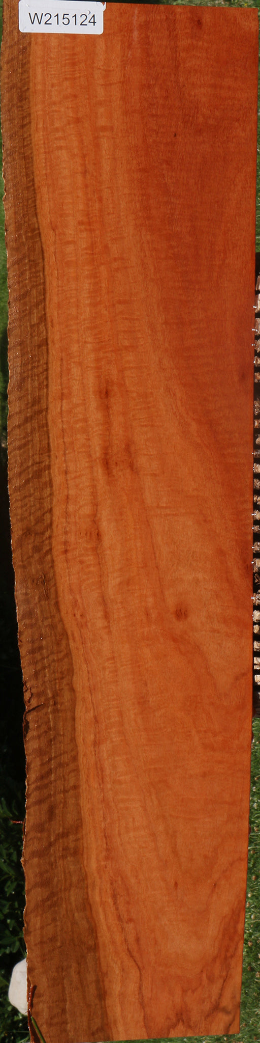 Extra Fancy Red Ironbark Live Edge Lumber