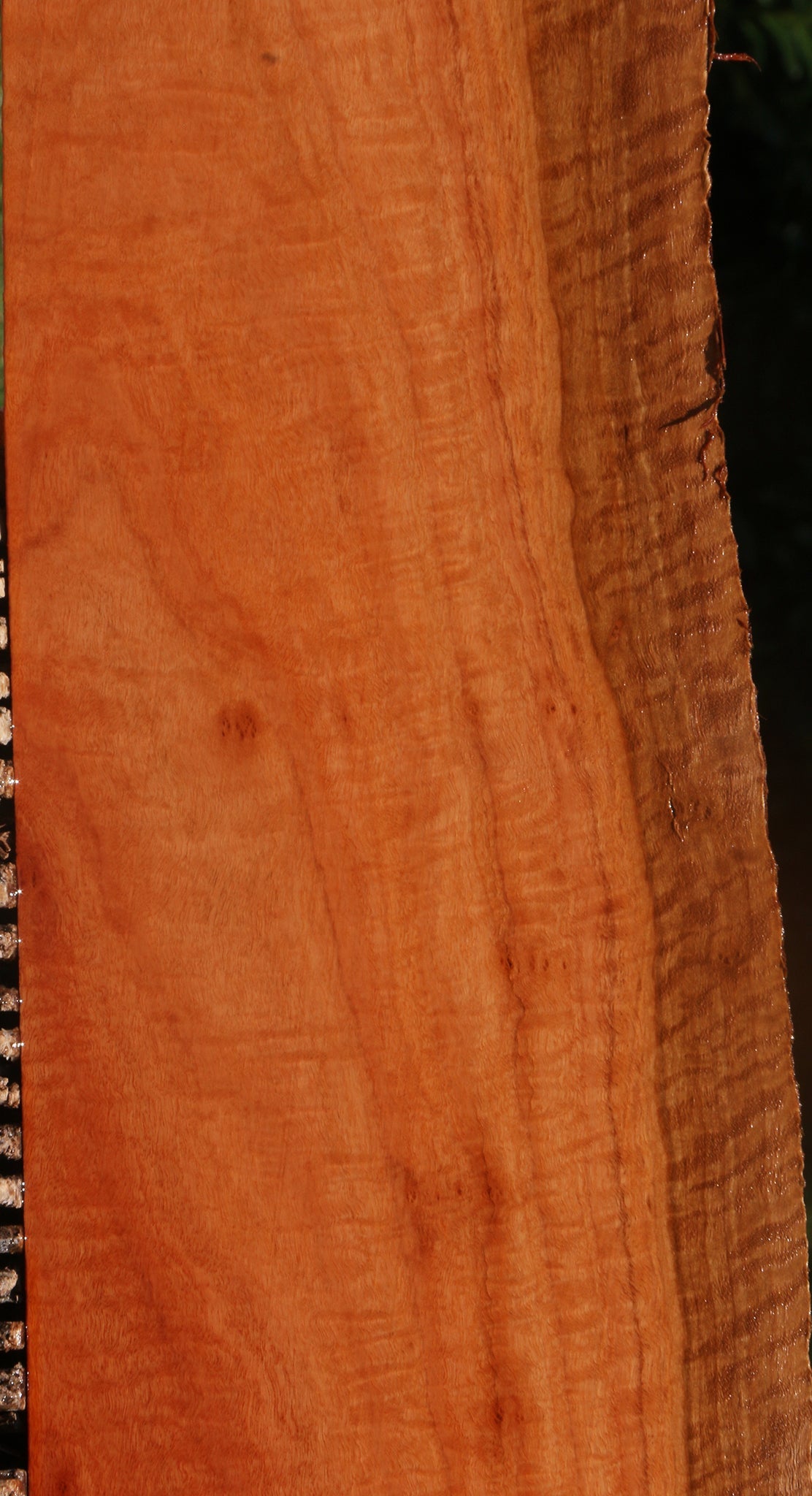 Extra Fancy Red Ironbark Live Edge Lumber