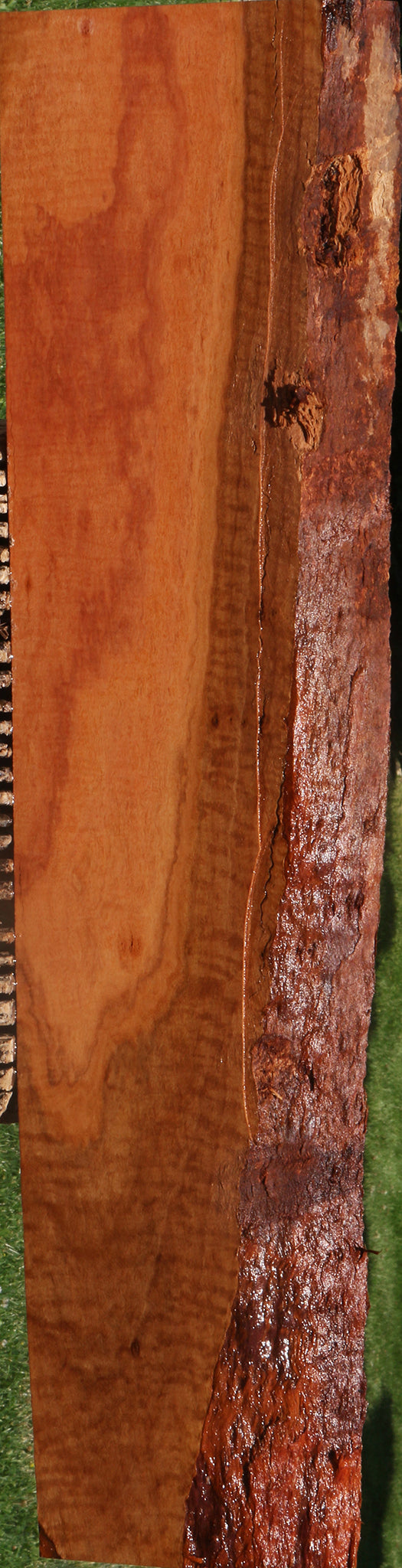 Extra Fancy Red Ironbark Live Edge Lumber