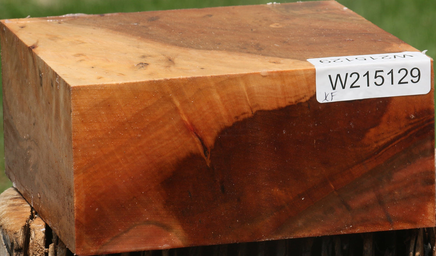 Extra Fancy Brazilian Pepperwood Bowl Blank