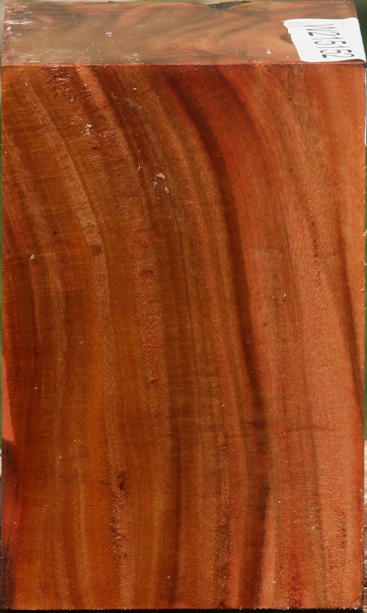 Extra Fancy Brazilian Pepperwood Turning Square