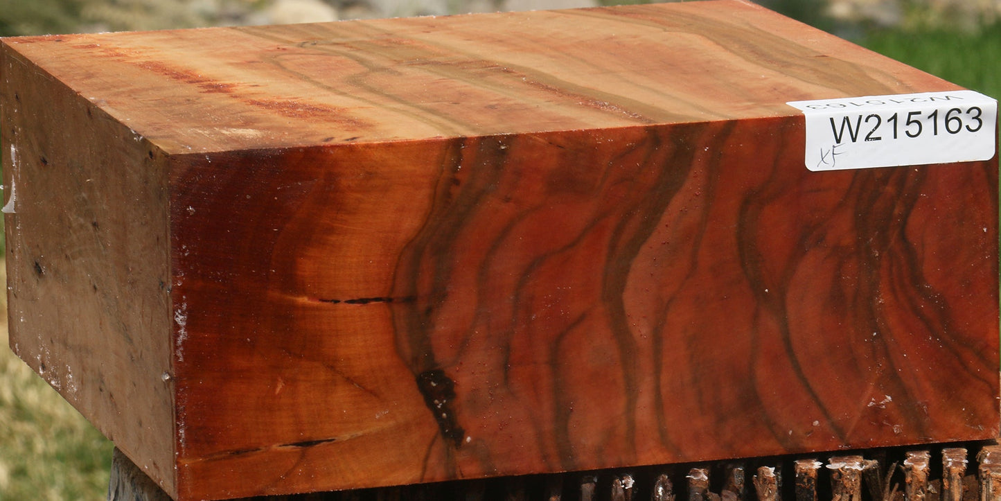 Extra Fancy Brazilian Pepperwood Bowl Blank