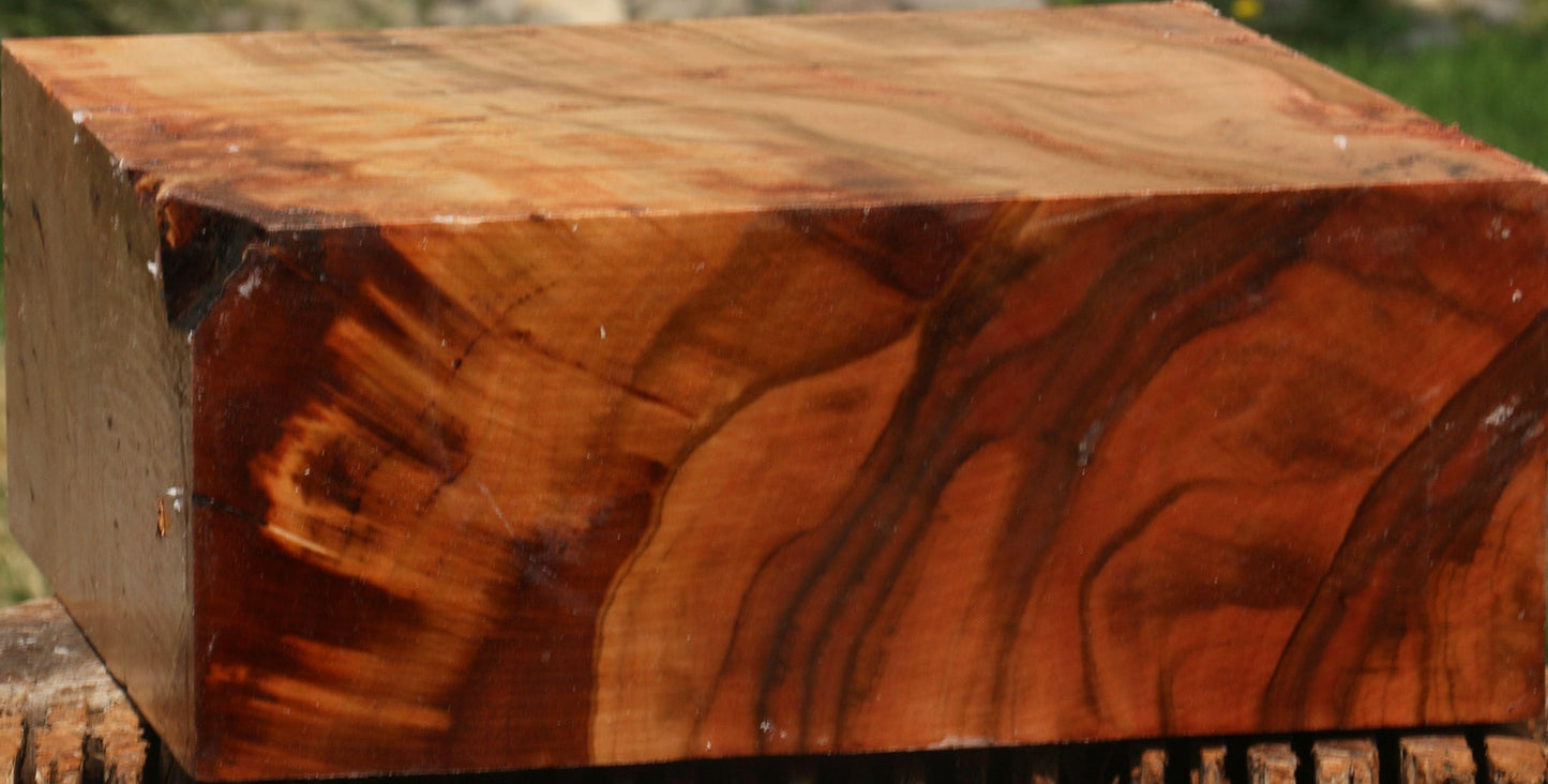 Extra Fancy Brazilian Pepperwood Bowl Blank