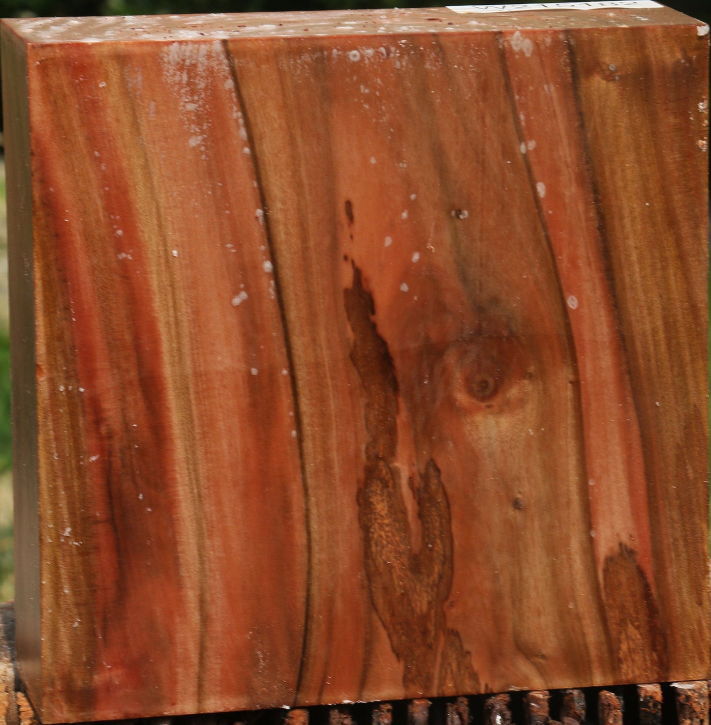 Extra Fancy Brazilian Pepperwood Bowl Blank