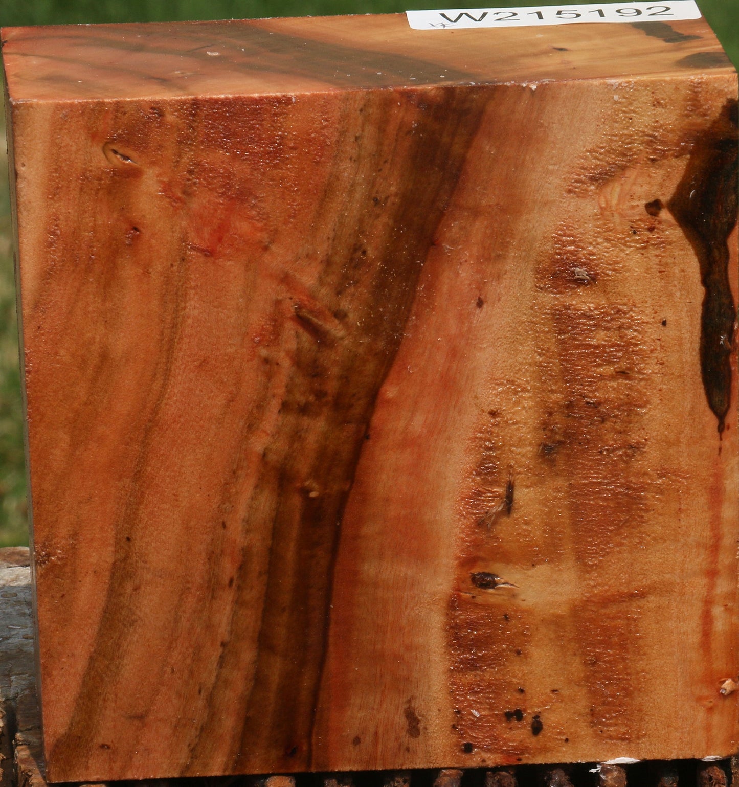 Extra Fancy Brazilian Pepperwood Bowl Blank