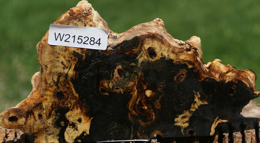 Buckeye Burl Slice