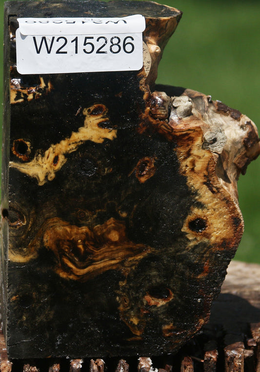 Buckeye Burl Live Edge Turning Blank