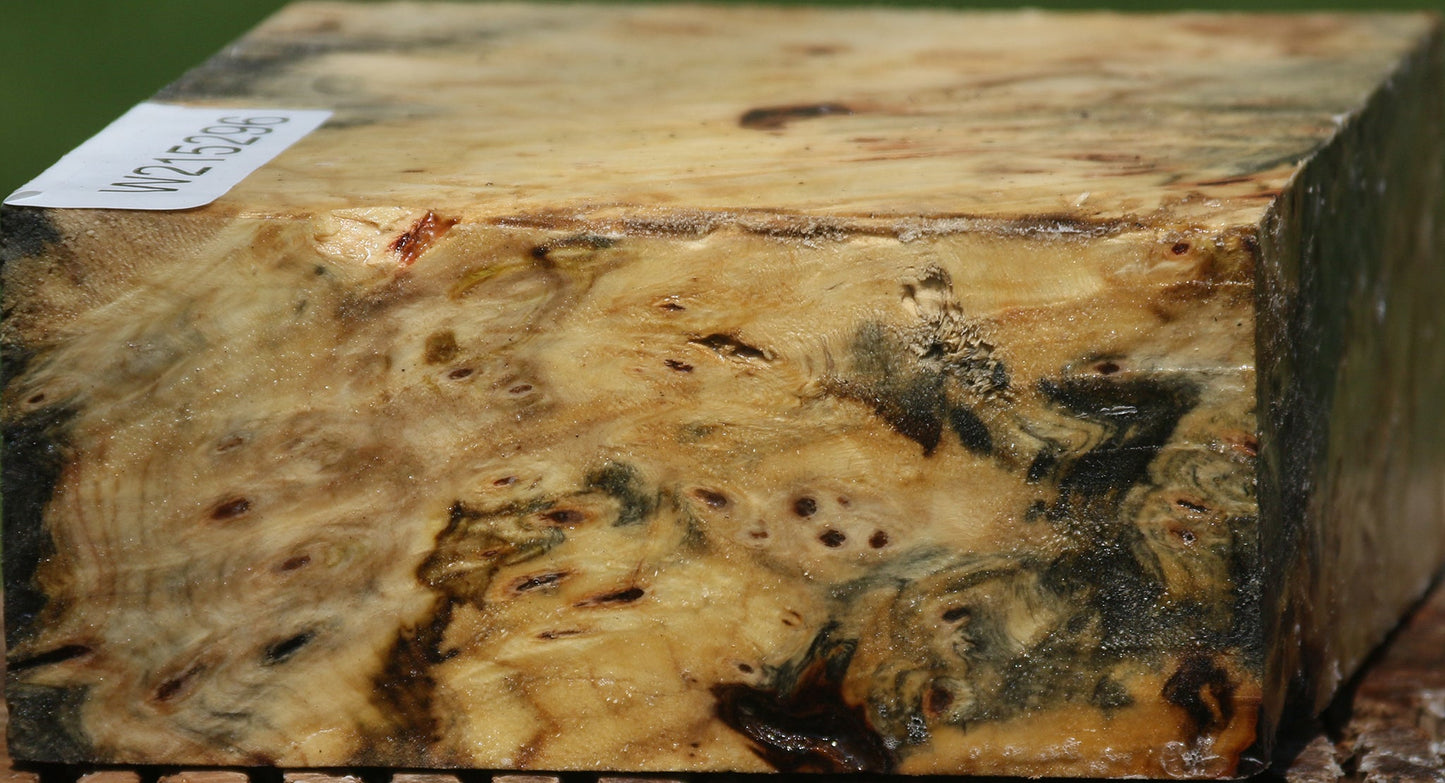 Buckeye Burl Bowl Blank