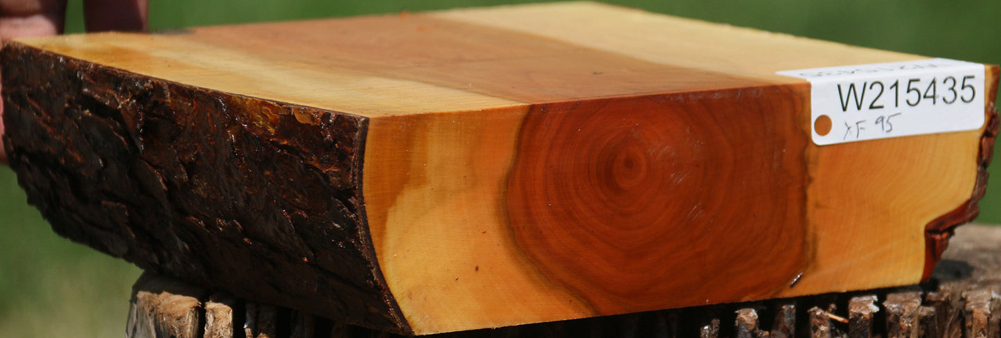 Extra Fancy Oregon Ironwood Live Edge Bowl Blank