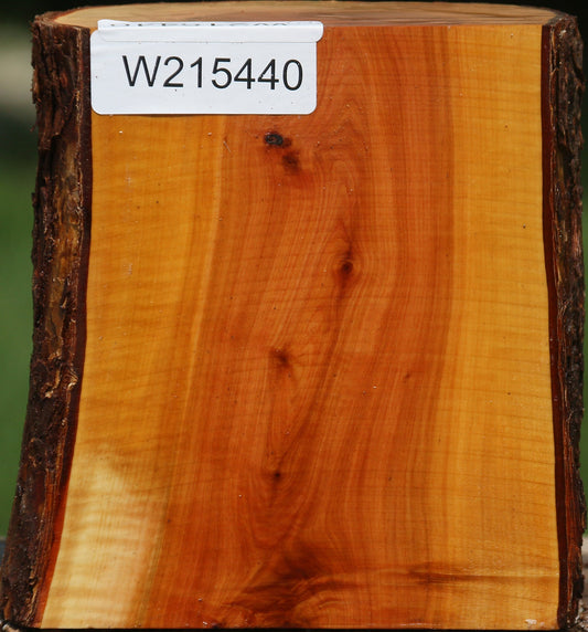 Extra Fancy Oregon Ironwood Half Log